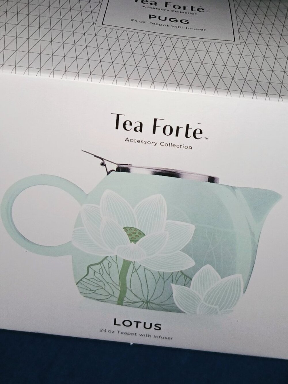 New in Box - 24oz Pale Teal Floral Teapot